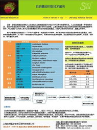 目的基因釣取技術(shù)服務(wù) 上海生博醫(yī)學(xué)生物工程科技有限公司的專業(yè)優(yōu)勢與網(wǎng)絡(luò)技術(shù)支撐